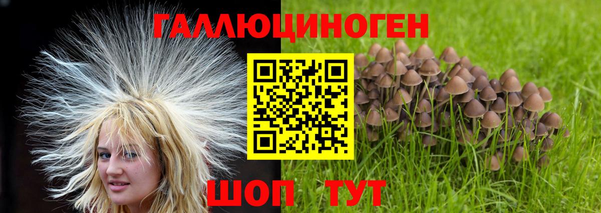 Псилоцибиновые грибы прущие грибы  Вход с VPN  Кохма  Галлюциногенные грибы Psilocybe 